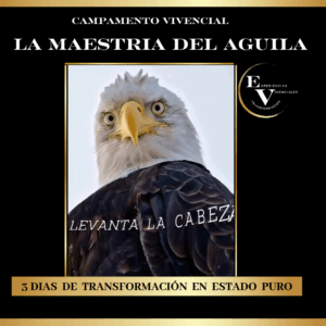 Campamento de transformación